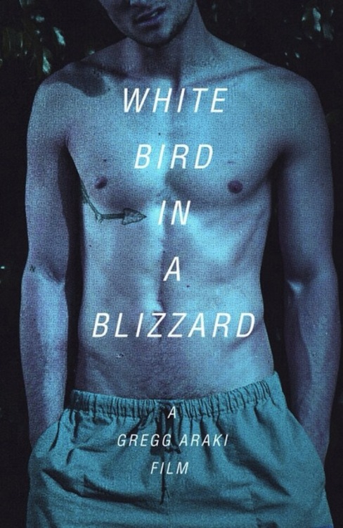 White Bird in a Blizzard
