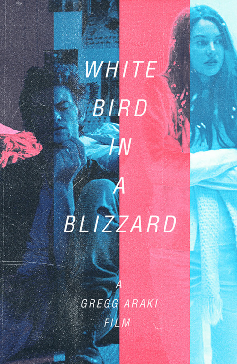 White Bird in a Blizzard