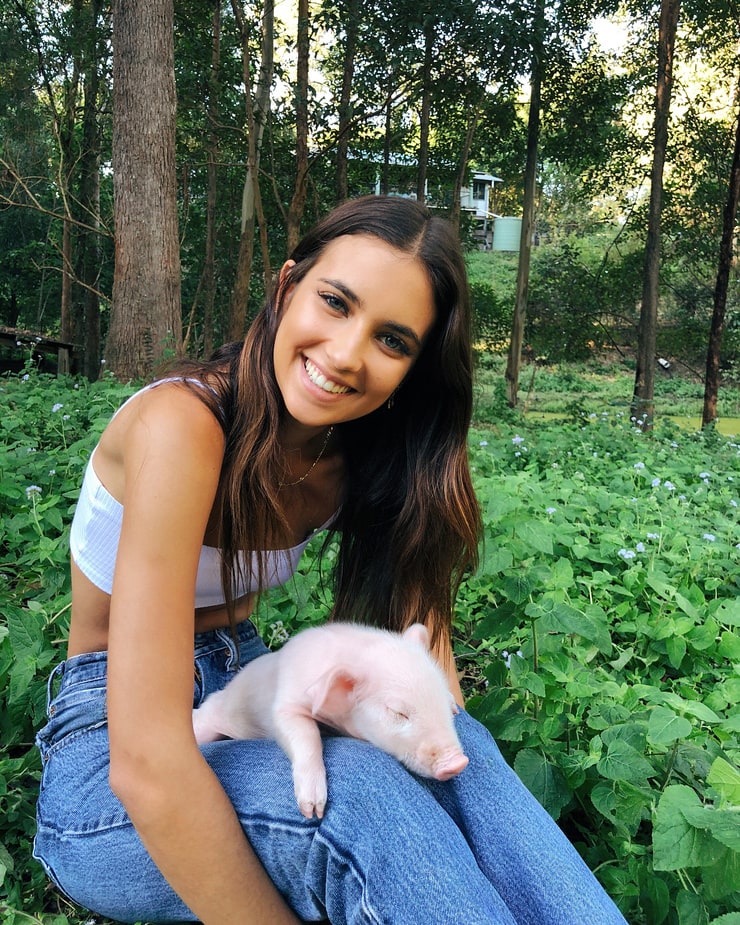 Elisha Herbert Elisha Herbert