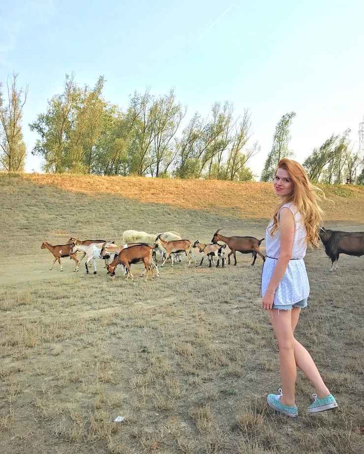 Ticija Hax