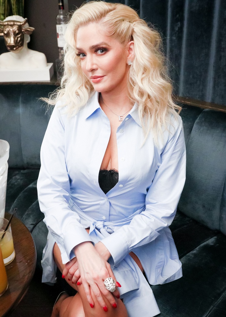 Picture of Erika Jayne