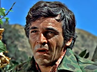 Donnelly Rhodes