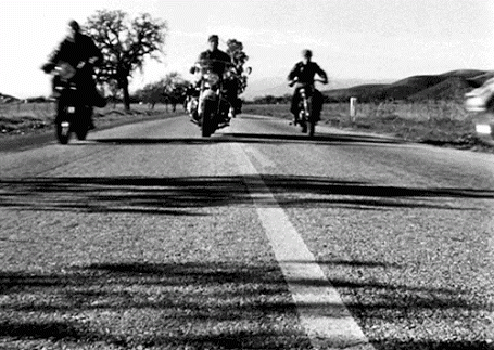 The Wild One (1953)