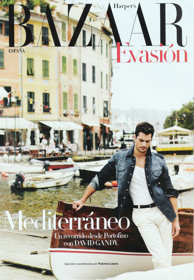 David Gandy