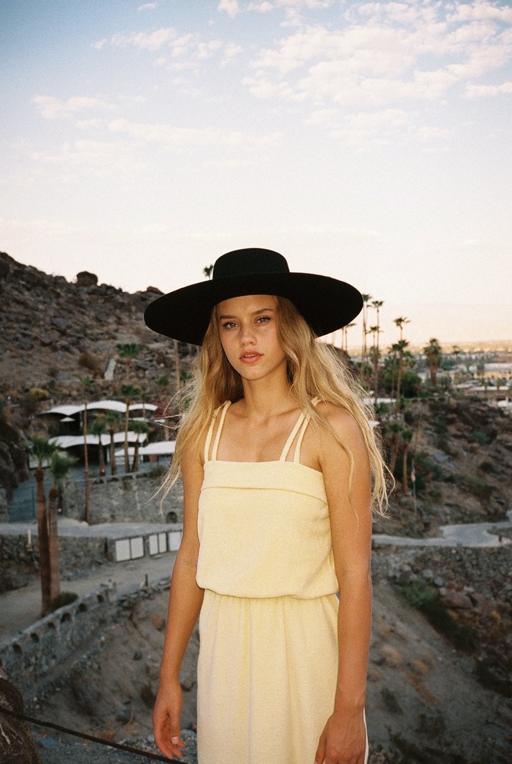 Chase Carter Chase Carter