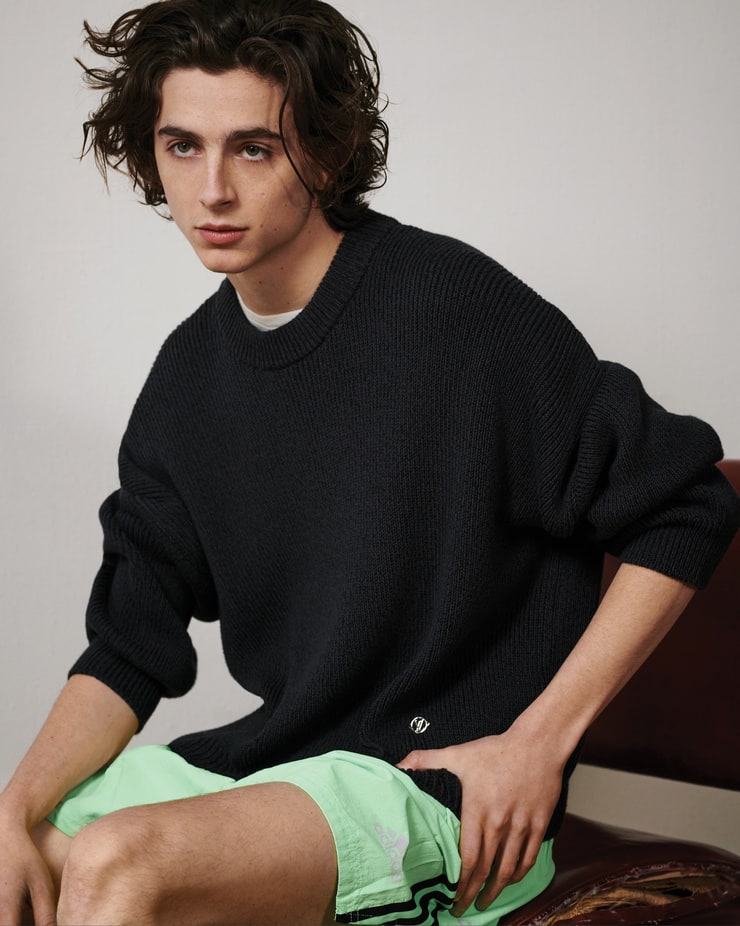 Timothée Chalamet