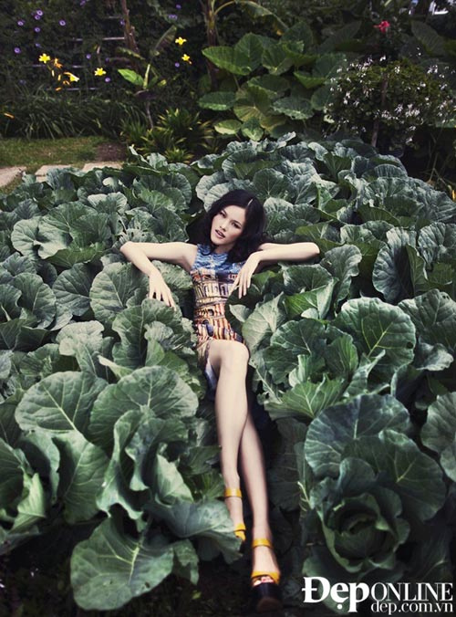 Tuyet Lan