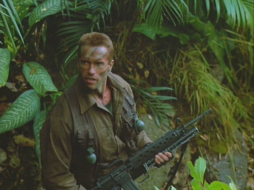 Predator Predator