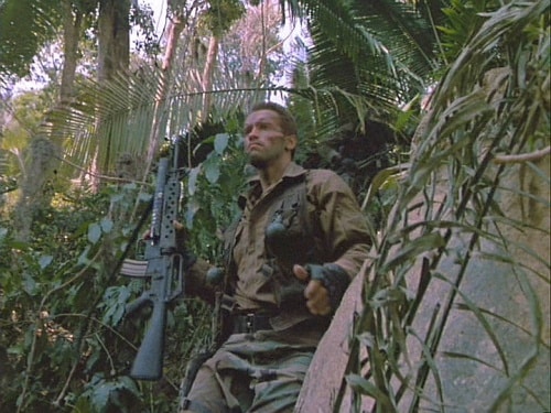 Predator Predator