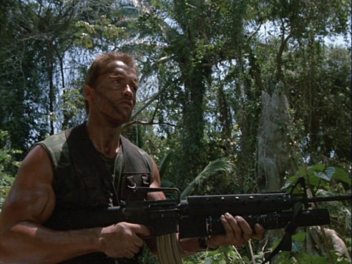Predator Predator