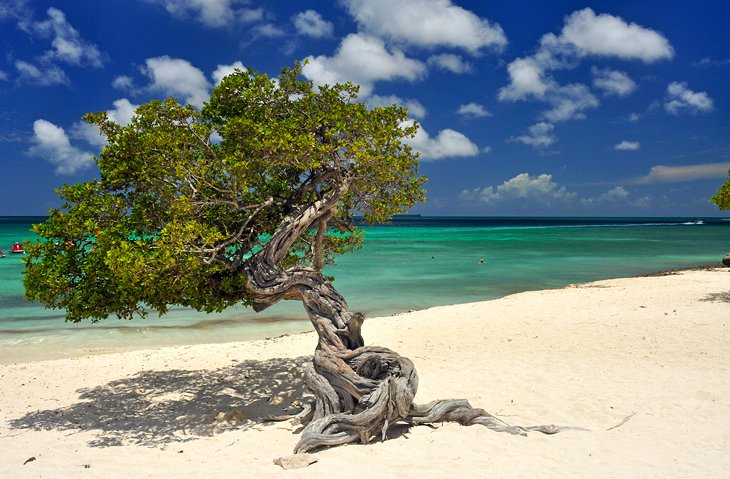 Aruba
