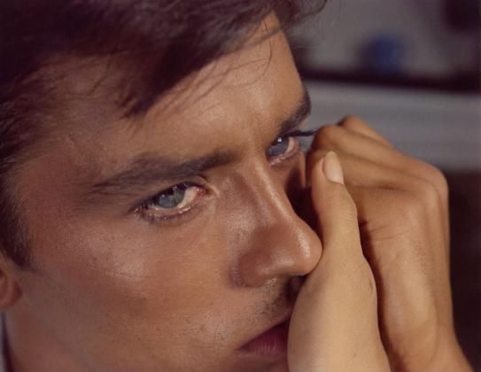 Purple Noon