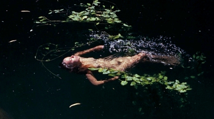 Walkabout (1971) Walkabout (1971)