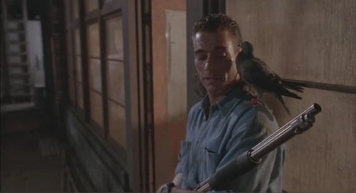 Hard Target Hard Target