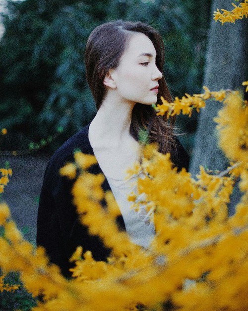 Aya Shalkar