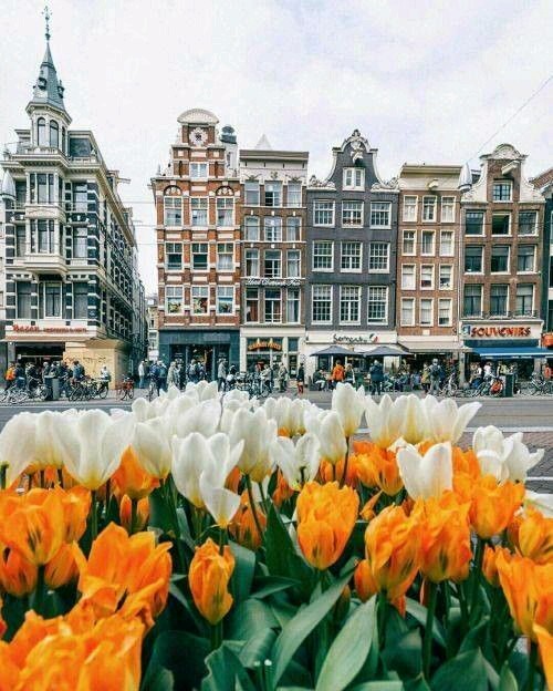 Amsterdam, Netherlands