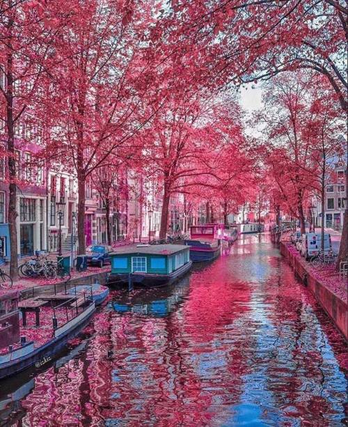 Amsterdam, Netherlands