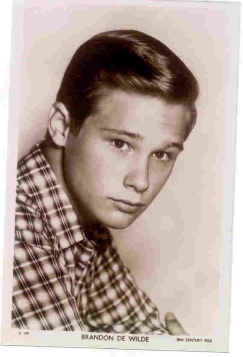 Brandon De Wilde Brandon De Wilde