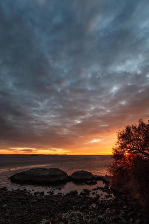 Trieste