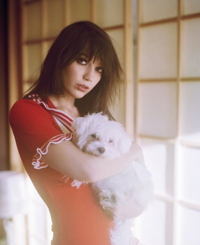 Daisy Lowe