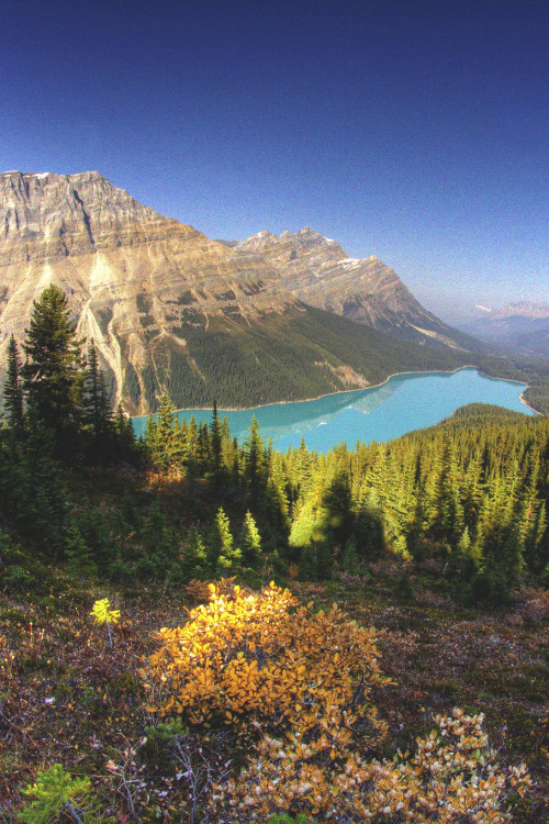 Banff National Park