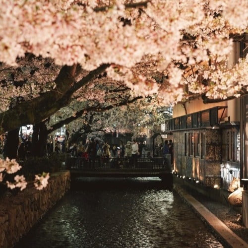 Kyoto