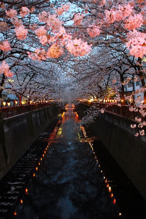 Kyoto Kyoto