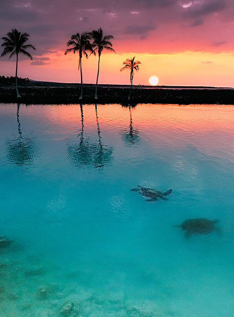 Hawaii Hawaii