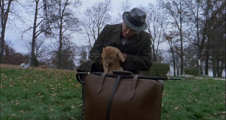 Harry and Tonto (1974) Harry and Tonto (1974)
