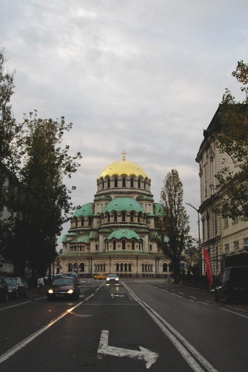 Sofia