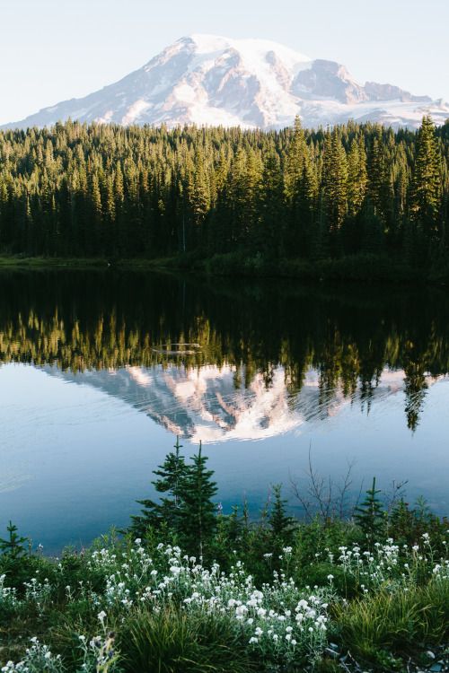 Mount Rainier National Park