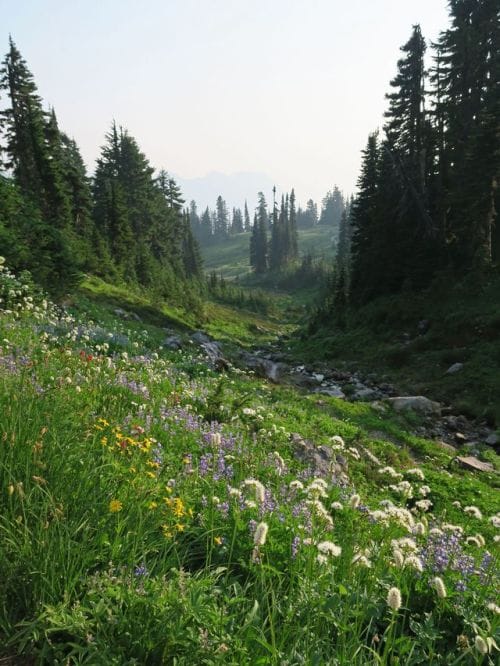 Mount Rainier National Park