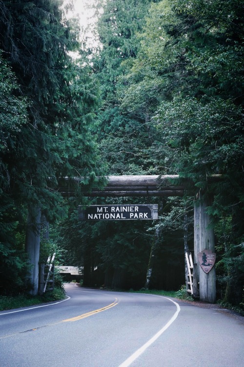 Mount Rainier National Park