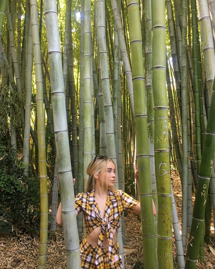 Sabrina Carpenter