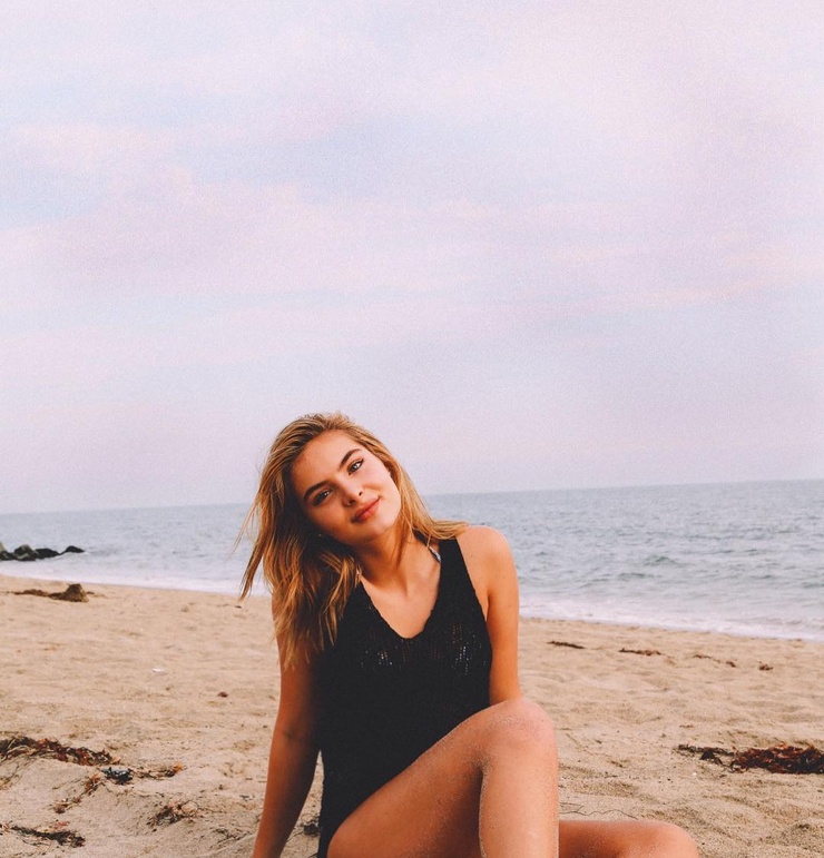 Brighton Sharbino