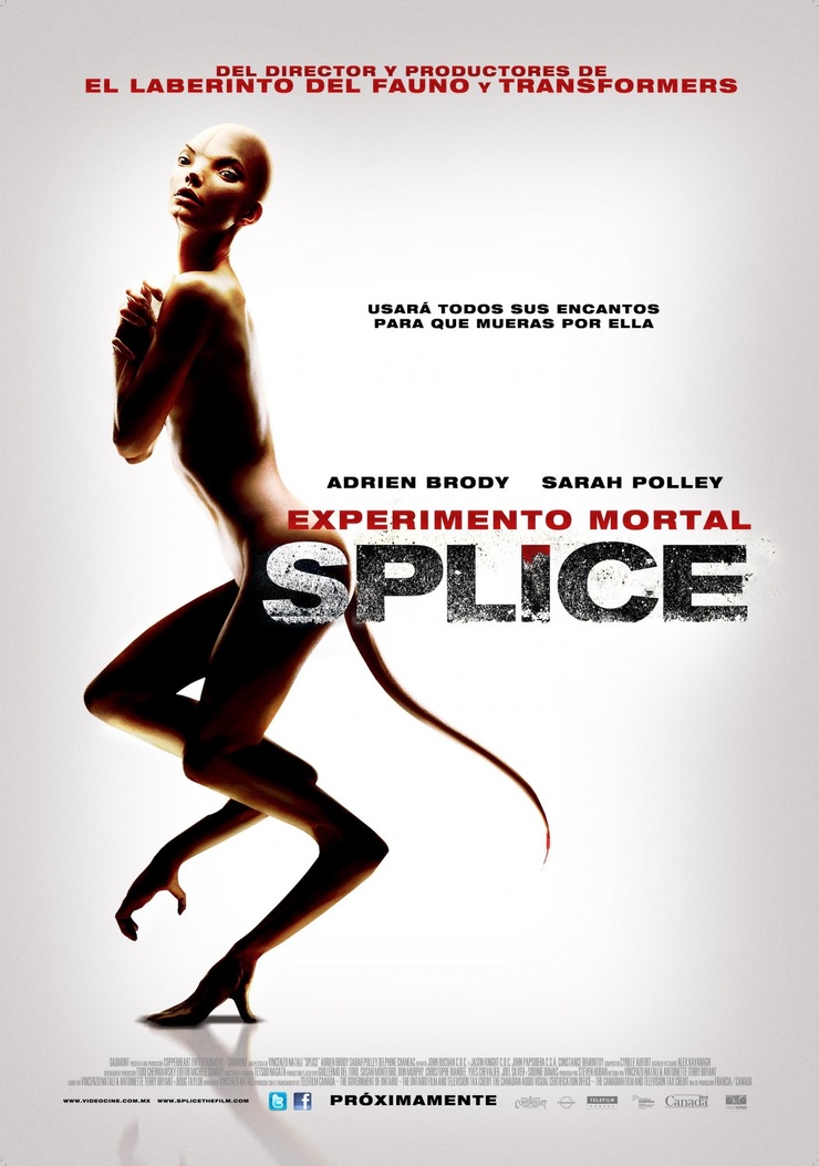 Splice