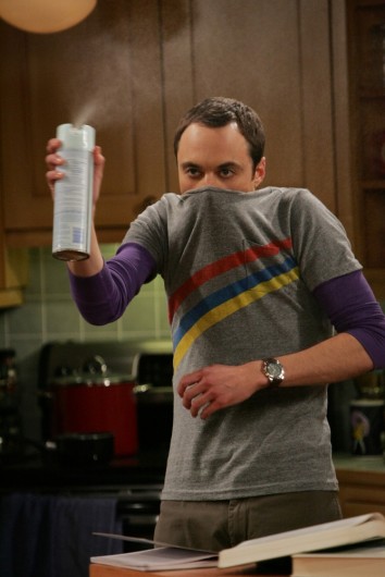 The Big Bang Theory