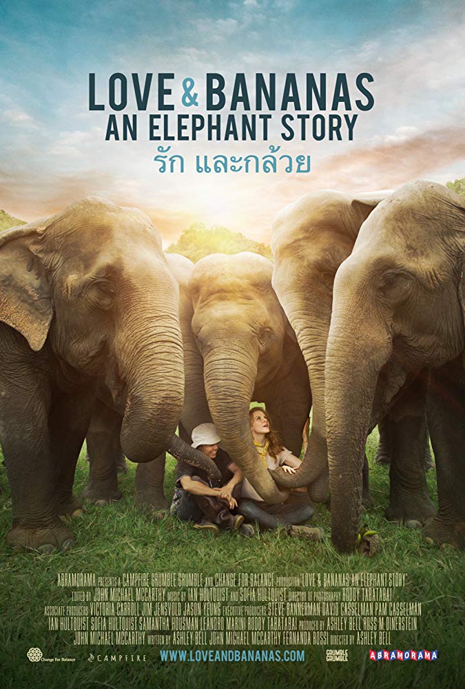 Love & Bananas: An Elephant Story