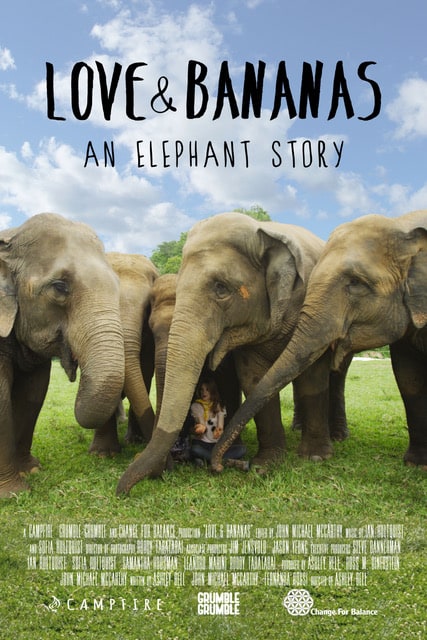 Love & Bananas: An Elephant Story