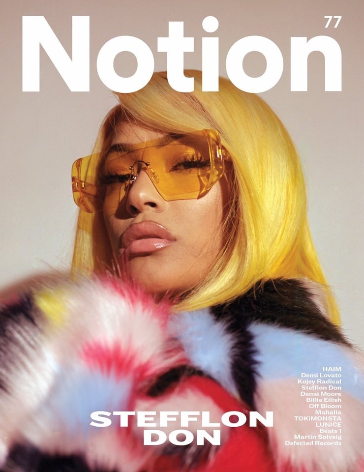 Picture of Stefflon Don