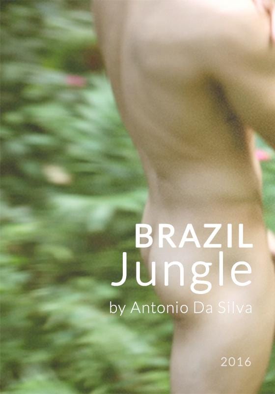 Brazil Jungle