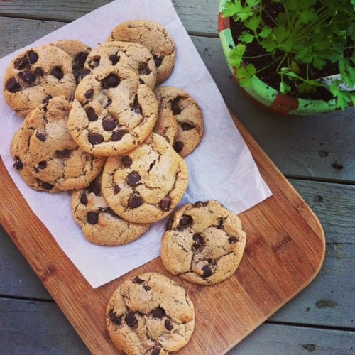 Chocolate Chip Cookies