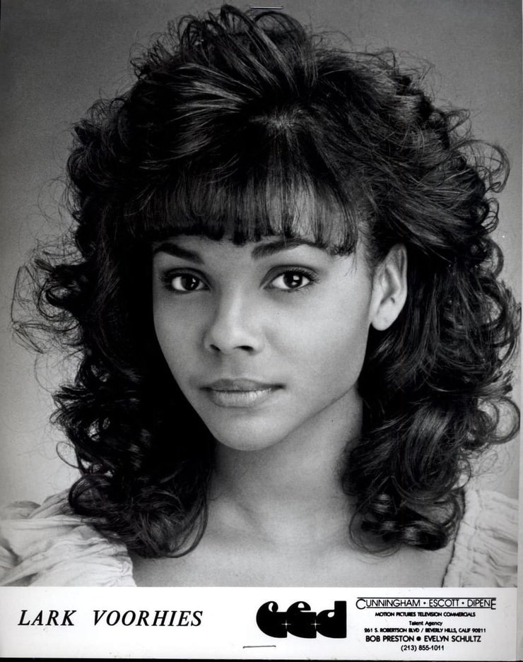 Lark Voorhies