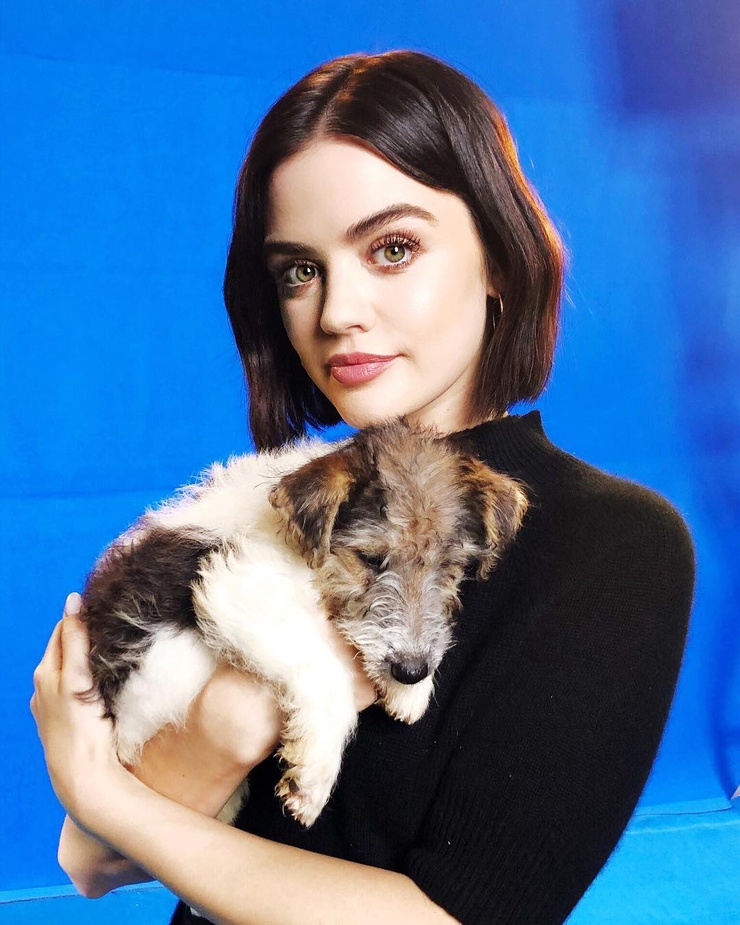 Picture of Lucy Hale