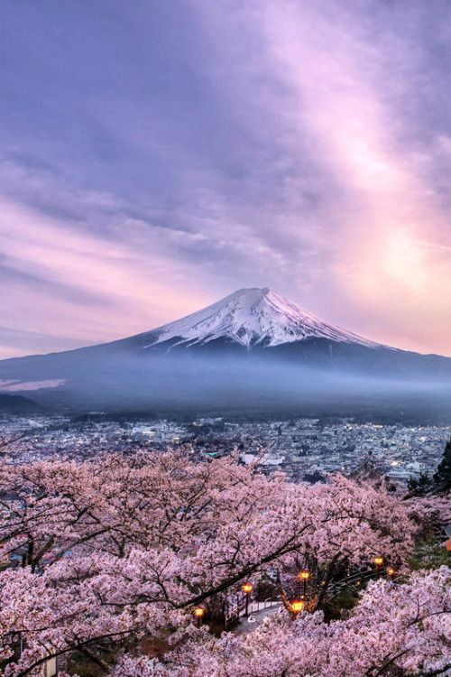 Mount Fuji (富士山)