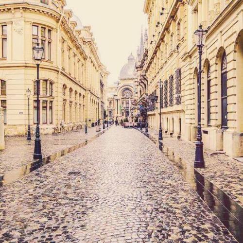 Timisoara