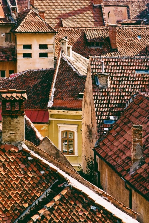 Brasov