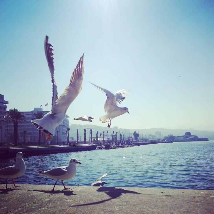 İzmir