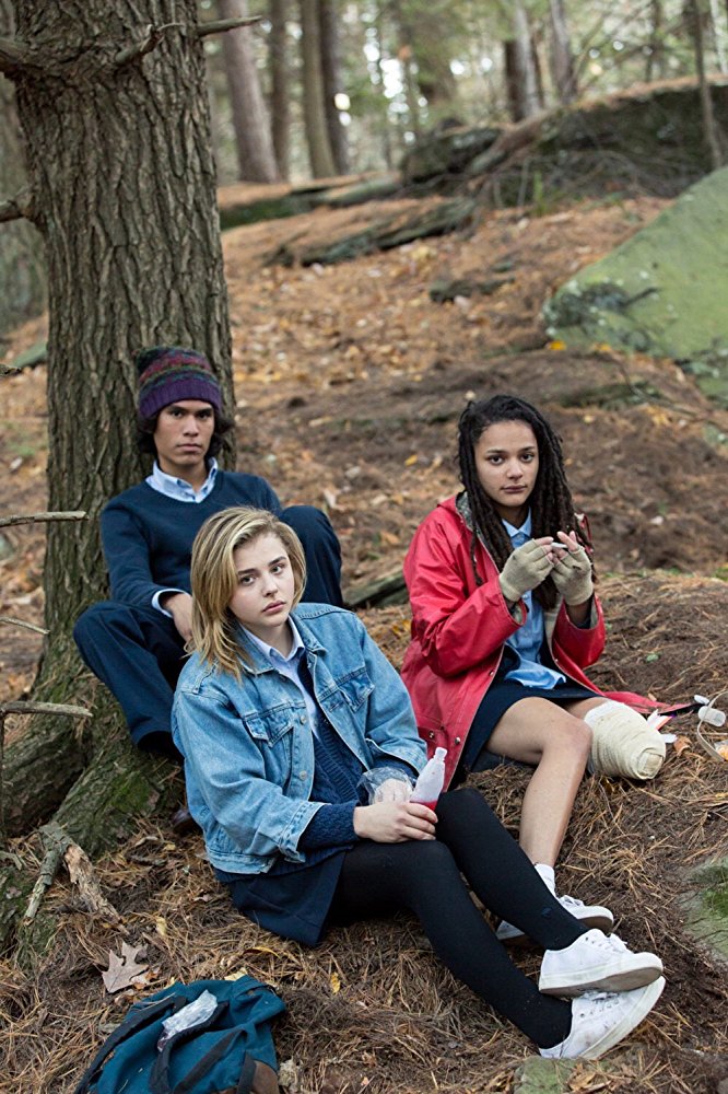 The Miseducation of Cameron Post 