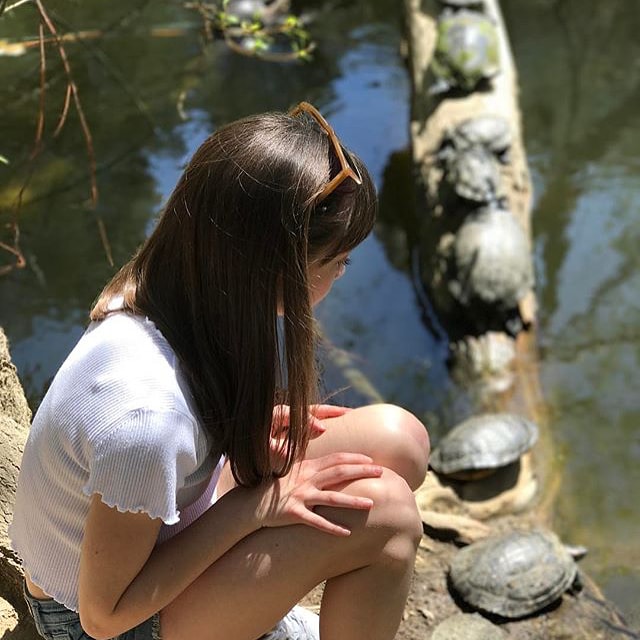 Lauren Lindsey Donzis